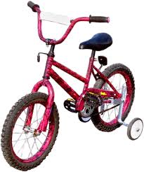 bicycle training wheel