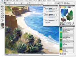 corel paint x