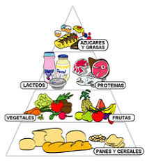 la piramide alimentaria