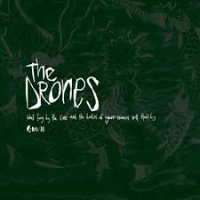 The Drones - The Best You Can Believe In