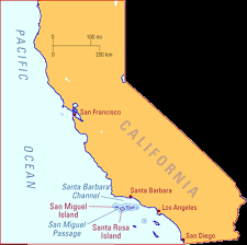 california building coe