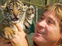the crocodile hunter steve irwin