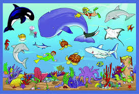 animals of the ocean