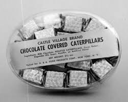 chocolate insects