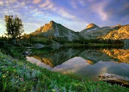 summer at the lake