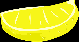 citrus wedger