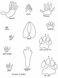 printable adult paper dolls