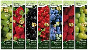 fruit assortments