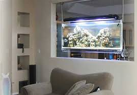 fish tank room divider