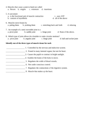 free printable verb worksheets 12 grade