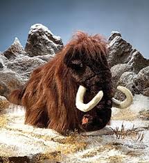 woolly mammoth