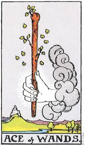 rider waite tarot card