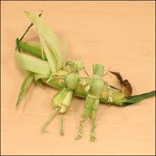 corn husk