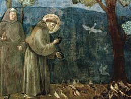 saint francis