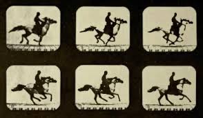 the horse in motion