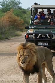 kruger national park