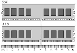 ddr1 and ddr2