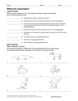 printable version to learn the arabic alphabet