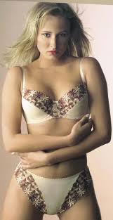 bra fabric