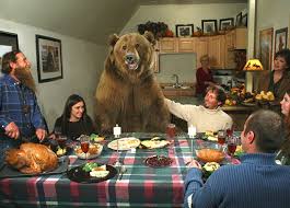 casey anderson bear pictures