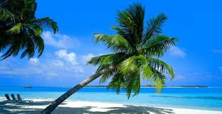 http://t0.gstatic.com/images?q=tbn:5ocwRZsbatQmDM:http://www.midilibrevoyages.com/images/caraibes.jpg