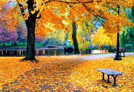 boston public gardens