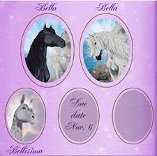 bella sara game