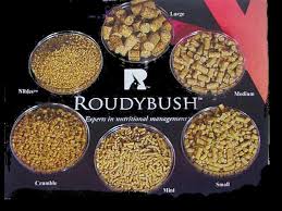 roudybush pellets