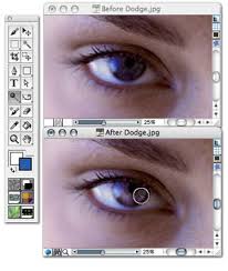 corel paint x