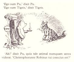 winnie ille pu