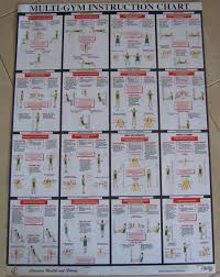 home gym exercises poster