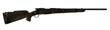 hunting gun