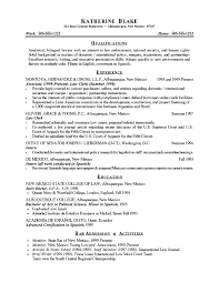 example resume objectives