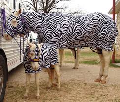 funny pajamas