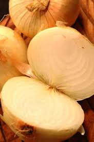 vidalia onion