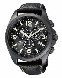 citizen promaster land