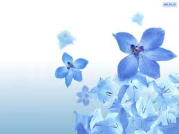 blue flowers