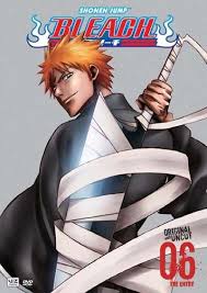 bleach volume 6