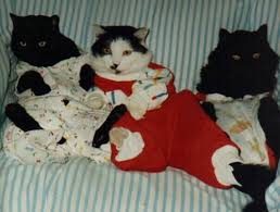 cat pajama