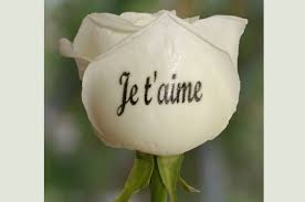 declaration damour
