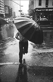 black and white umbrella