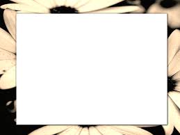 blank backgrounds