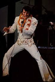 elvis aloha jumpsuit