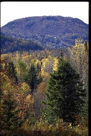 laurentian mountains