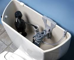 flush kit