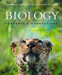 ap bio book