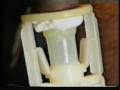 taraklamp