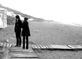 the white stripes under great white