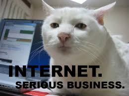 internet-cat.jpg