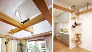 house designing